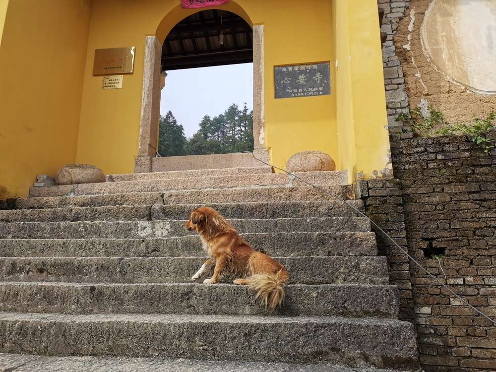 心安禅寺台阶